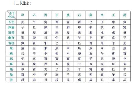 十二长生用法